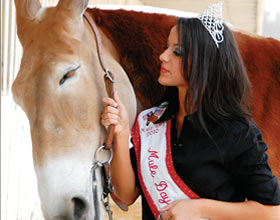 The Custom of the Country