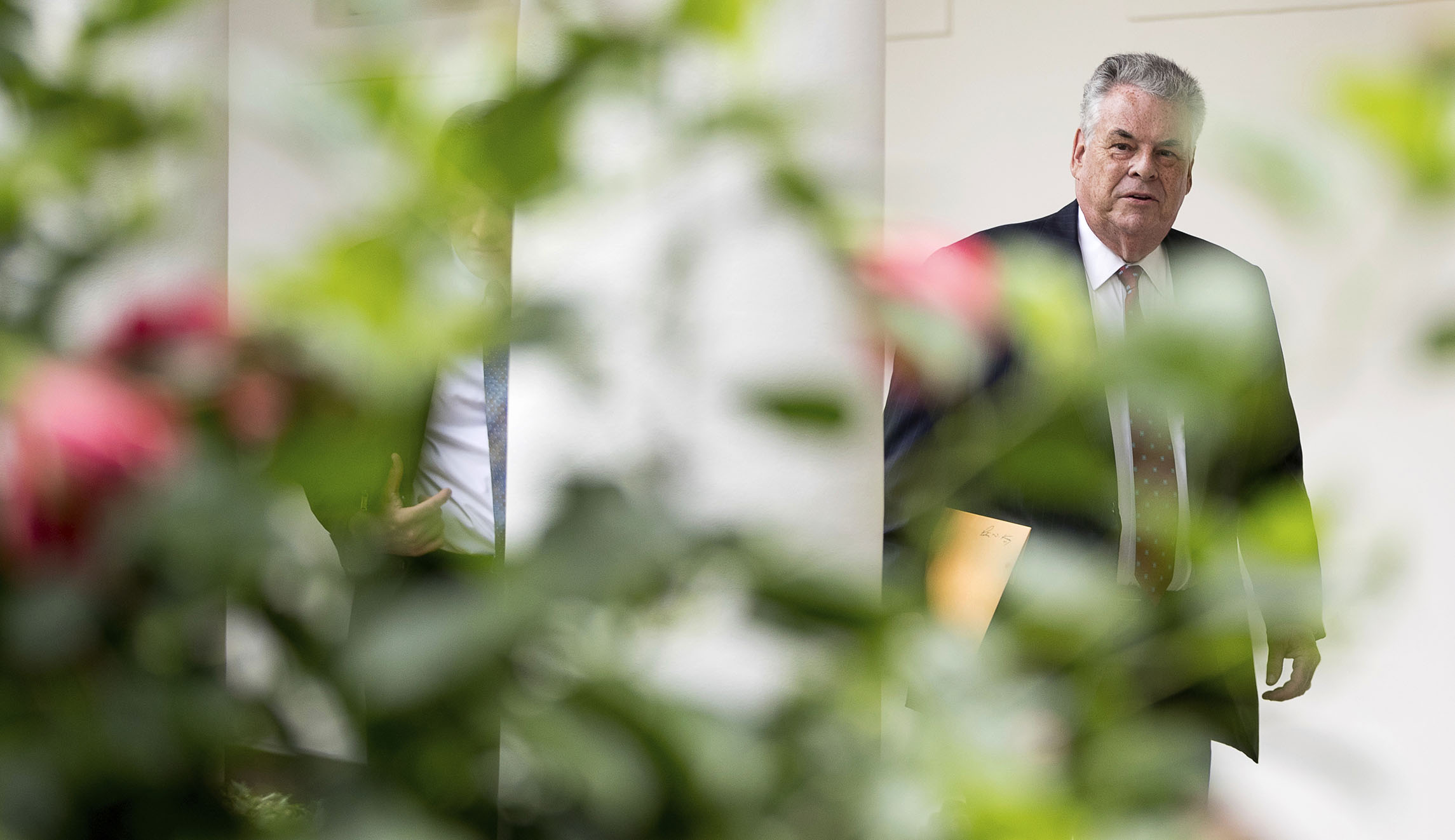 Rep. Peter King urges Trump to fire Steve Bannon
