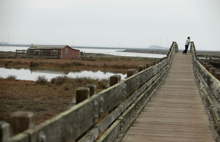 The budget requests $2 billion in mandatory funding for a new Coastal Climate Resilience program. (AP Photo/Eric Risberg)