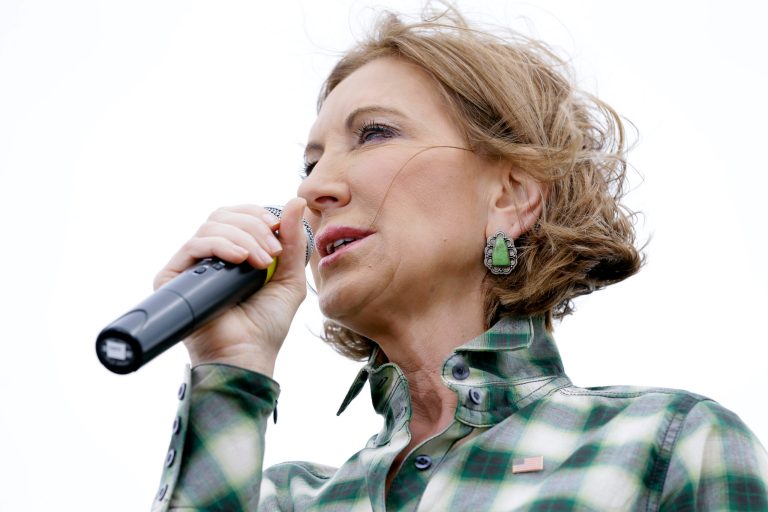 Republican presidential candidate Carly Fiorina speaks during a fundraiser for U.S. Sen. Joni Ernst, R-Iowa, Saturday, June 6, 2015, in Boone, Iowa. (AP Photo/Charlie Neibergall)