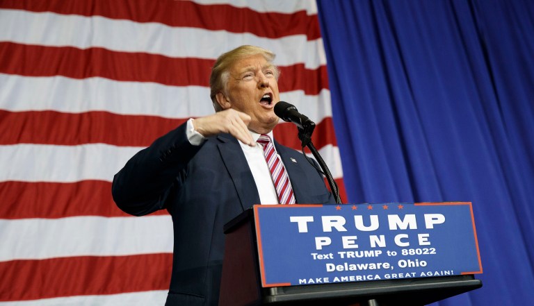 Donald Trump teased the proposal as a 