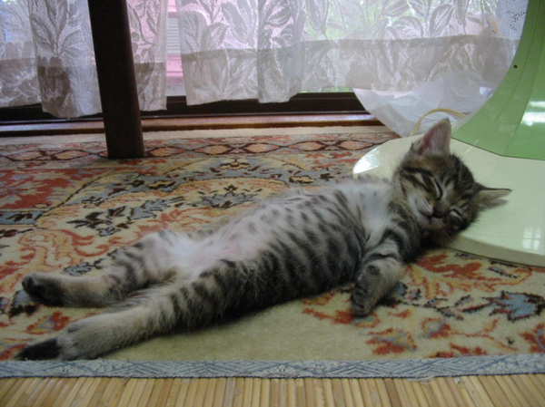Sleepy