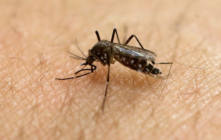 The baby's mother was suspected of having been infected with the virus while traveling in Latin America during her pregnancy, officials in Harris County, Texas, said. (AP Photo/Andre Penner, File)