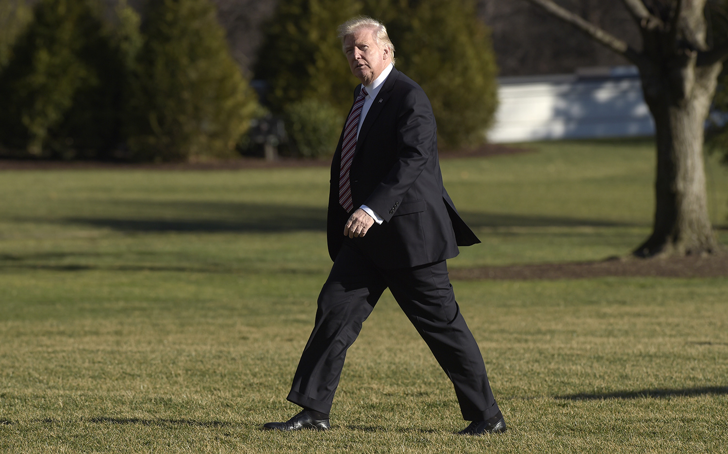 Trump: Immigration order must stand to provide ‘security and safety’