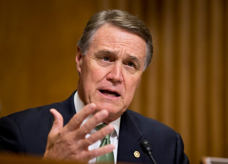 Unlike other members of the upper chamber, David Perdue has harshly criticized the tax idea in the press and actively tried to sway his colleagues against it. (AP Photo/Manuel Balce Ceneta)