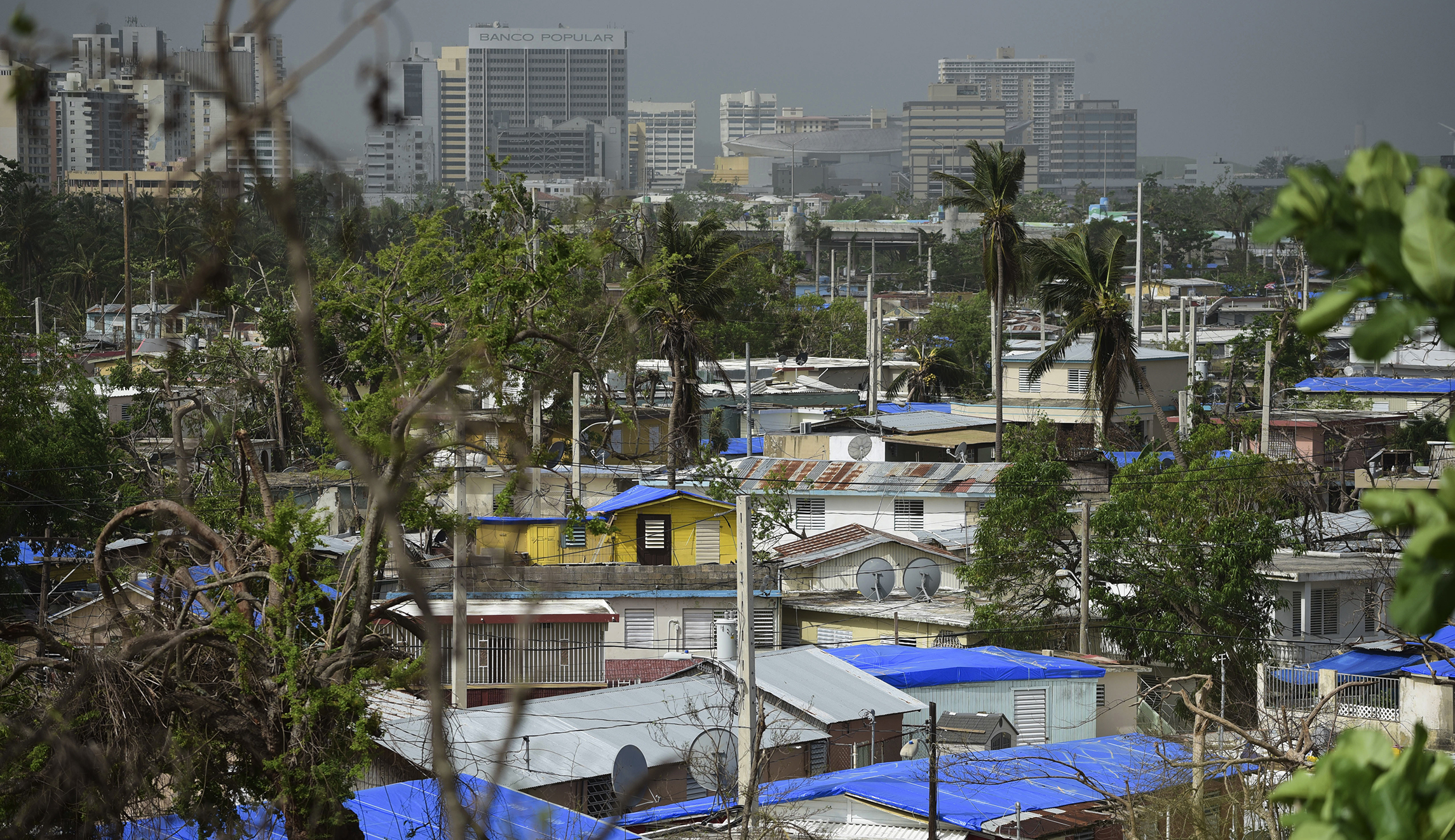 Puerto Rico burning bodies of hurricane victims without including them in official death toll: Report