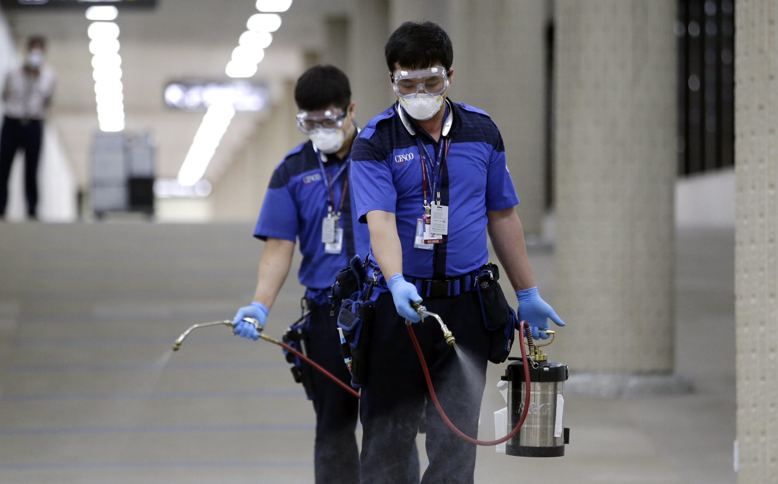 No need for travel bans due to MERS: World Health Org.