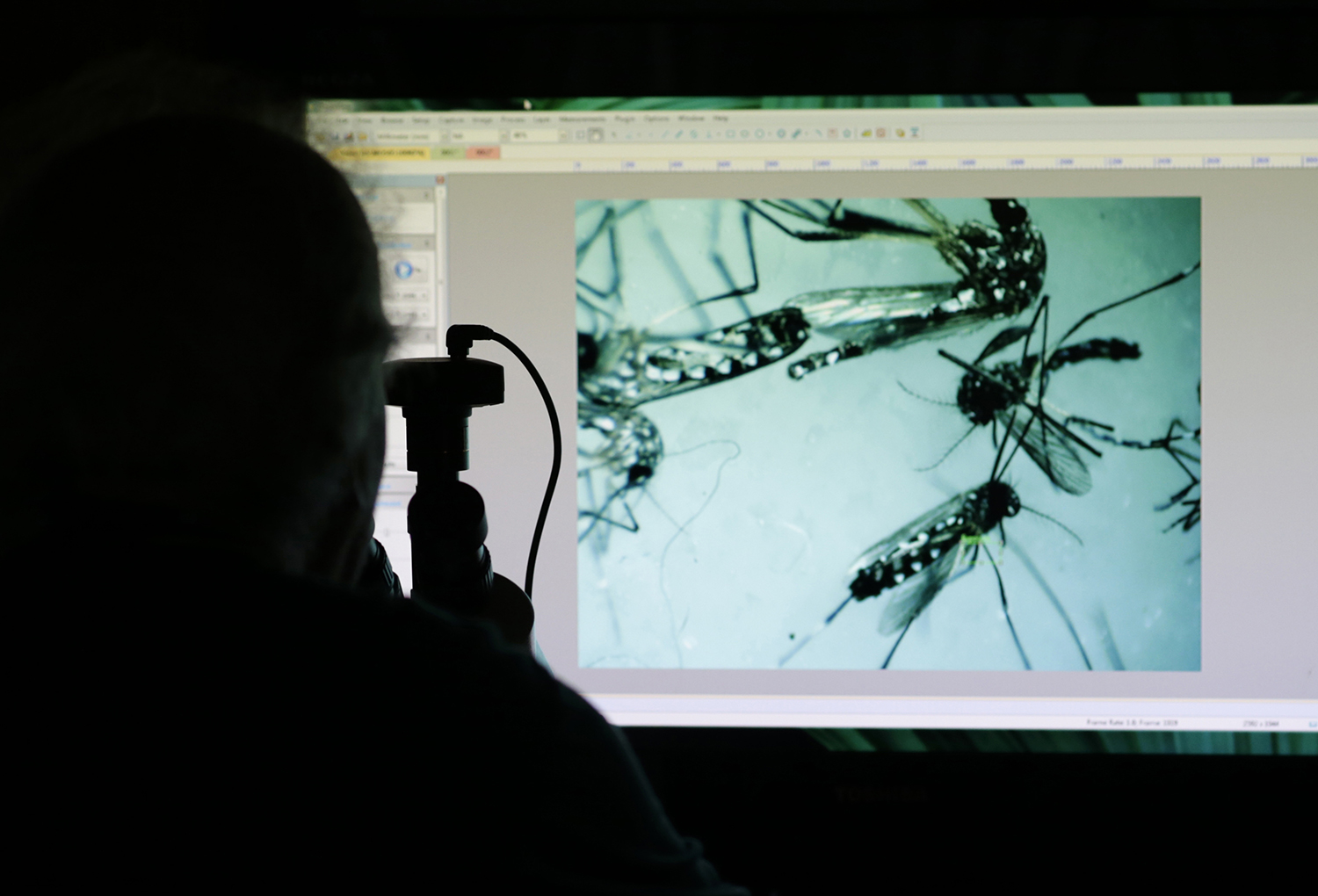 Poll: Three in four Americans want Zika funding