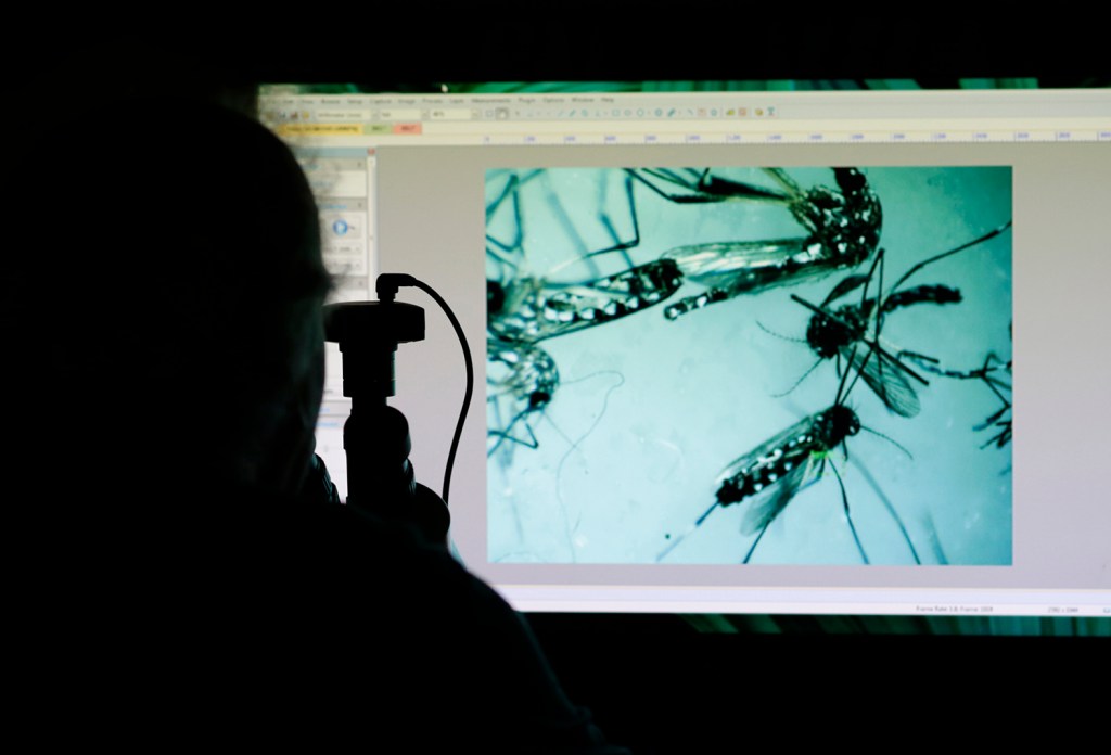 Poll: Three in four Americans want Zika funding