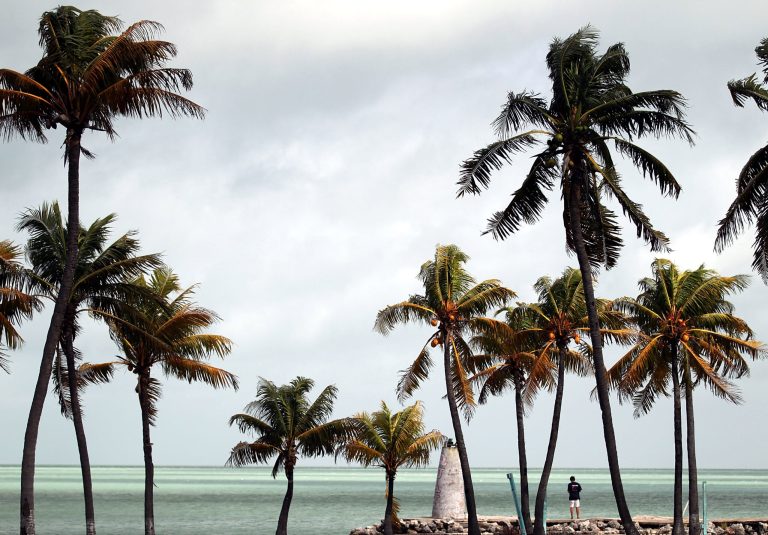 Harlem Suarez, who was also known as Almlak Benitez, was a professed supporter of the Islamic State and looking to use a backpack bomb at a public beach. Suarez, 23, is from Key West, Florida.Â (Photo by Marc Serota/Getty Images)