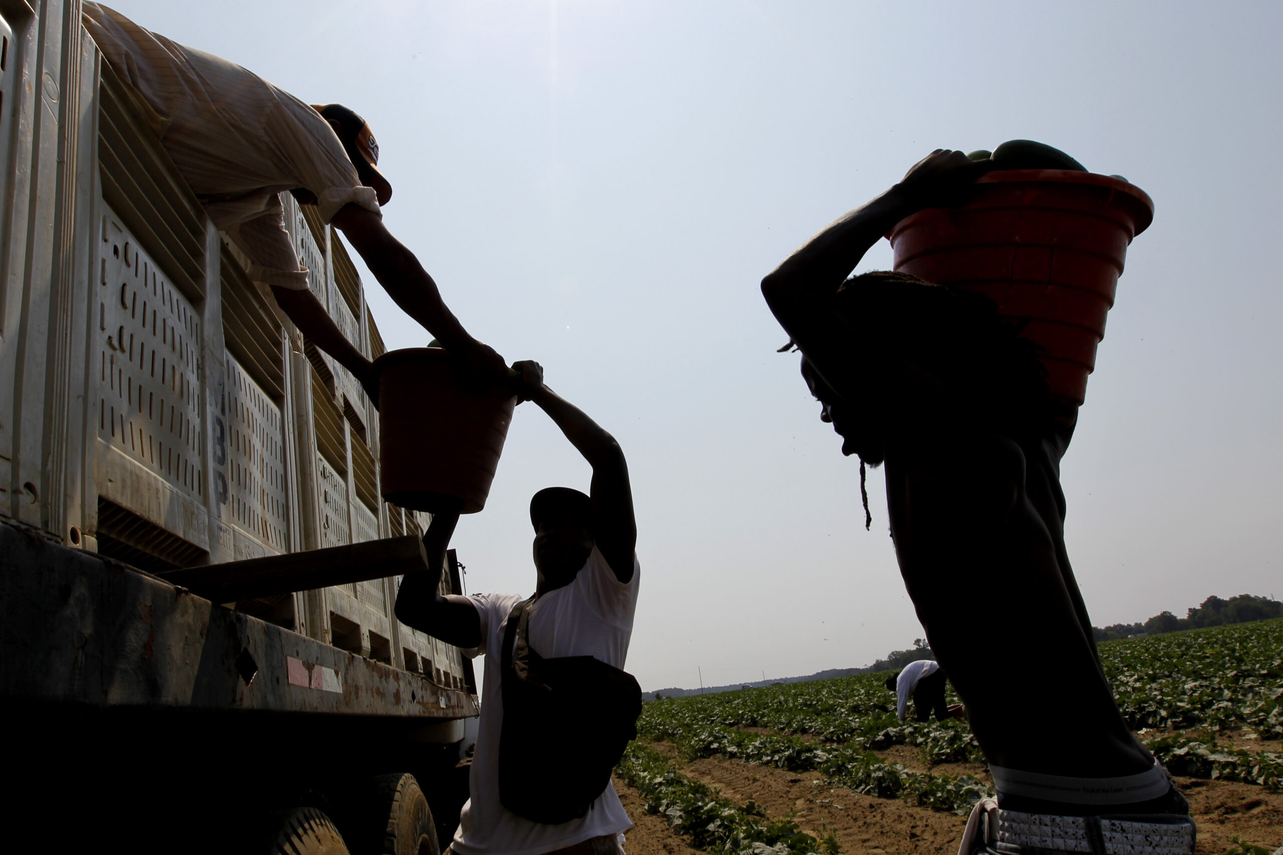 PARSING THE POLLS: ‘Taking away jobs’ is voters’ biggest concern about immigration