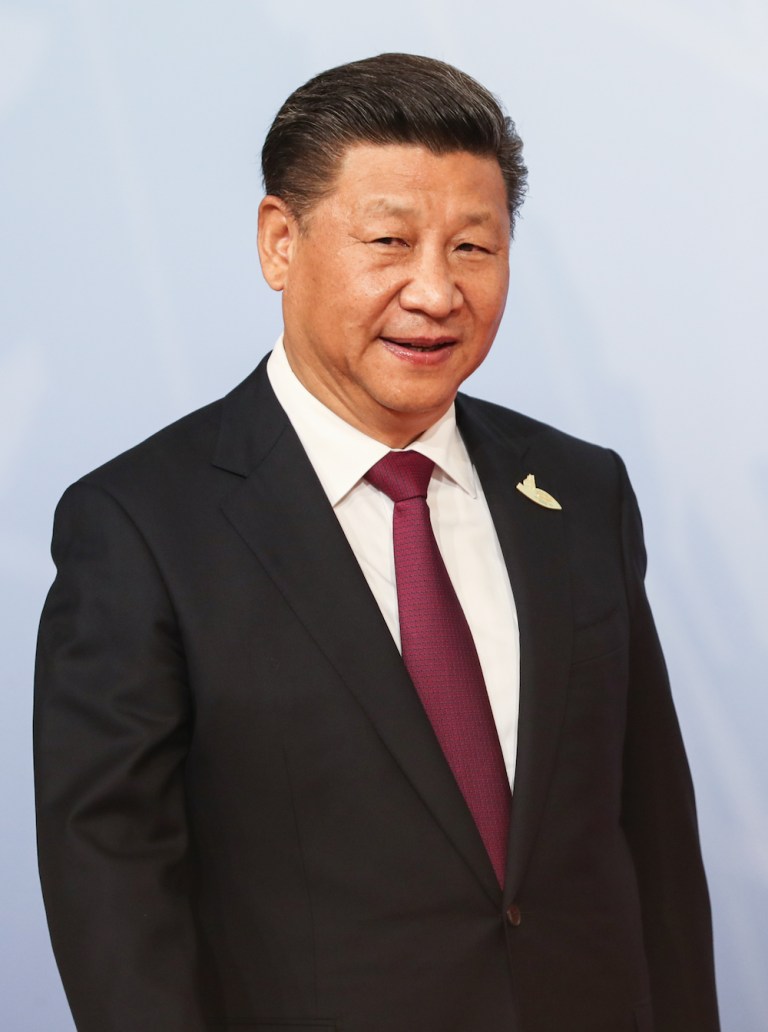 Winnie the Pooh and the Troubles with Xi
