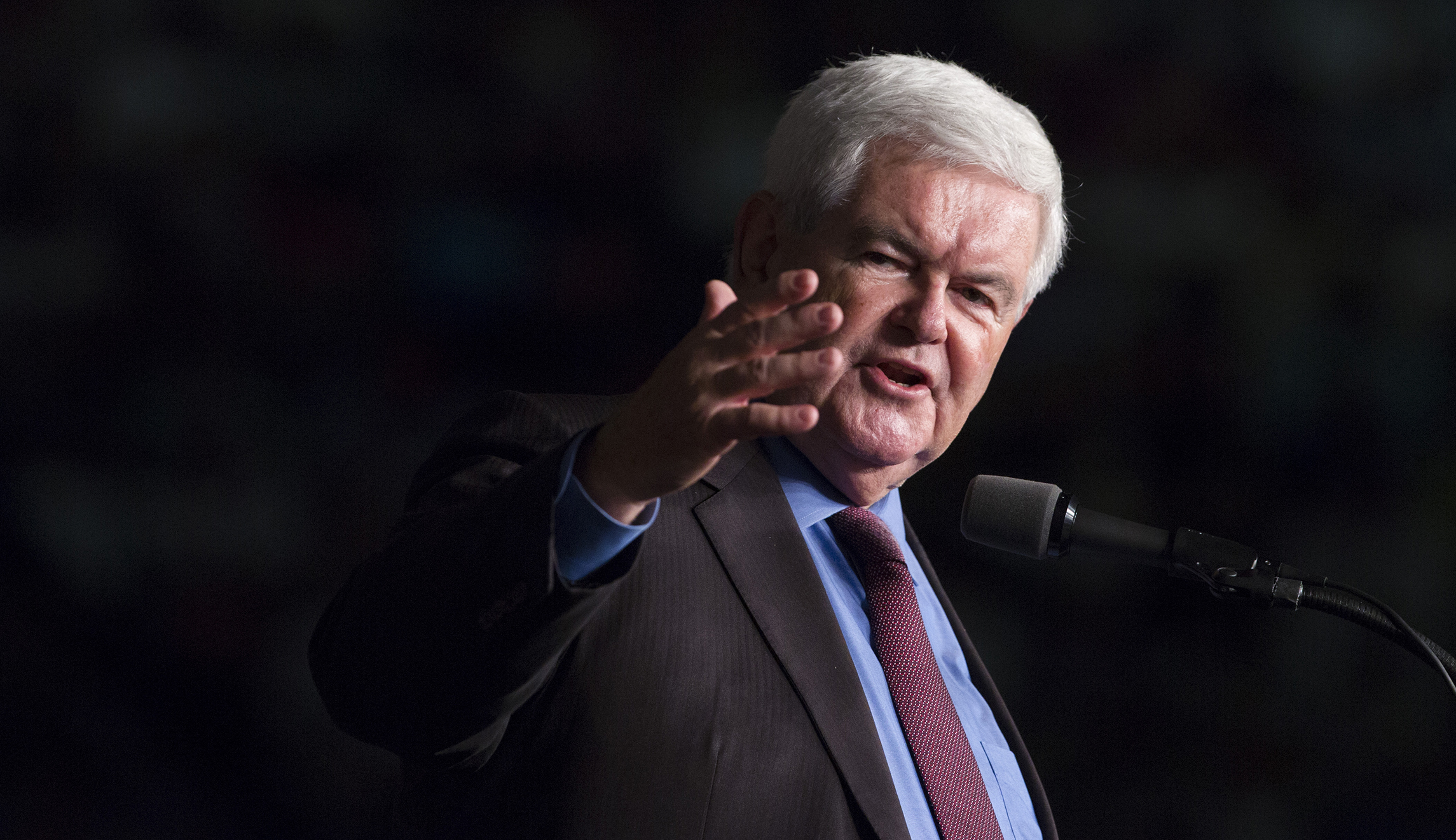 Newt Gingrich: There’s no coming back for Steve Bannon