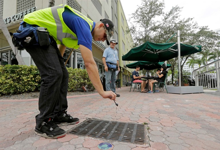 Miami-Dade mosquito control contractor pours chemicals into a storm sewer on a sidewalk. Miami Herald has accused state officials of undercounting the number of cases. (AP Photo/Alan Diaz)