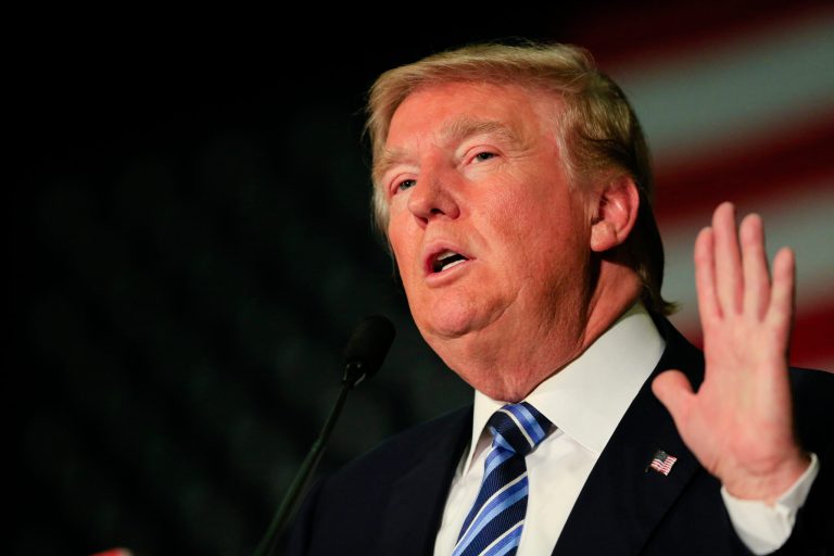 Republican presidential candidate Donald Trump warned that President Obama's executive action to tighten gun control laws could turn the country into a gun-free zone. (AP Photo/Nati Harnik)