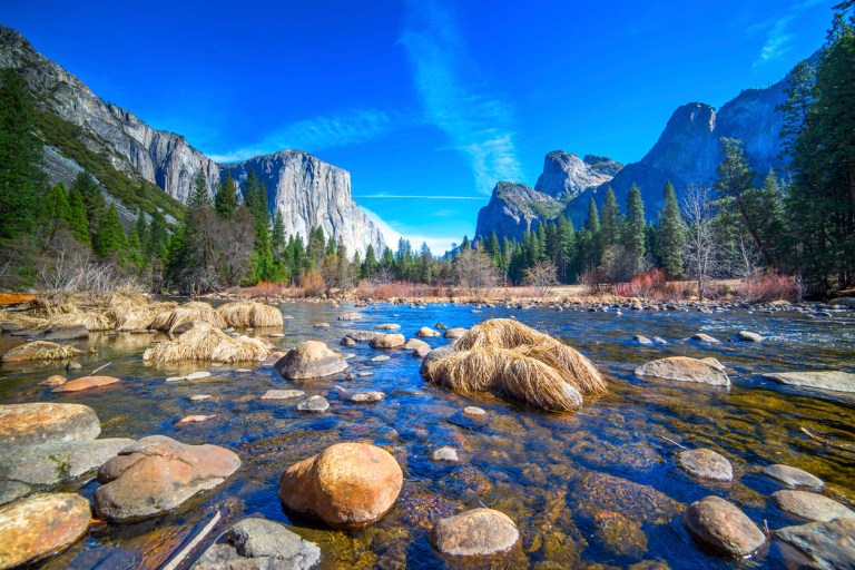 The Environmental Council of the States, representing state air, land and water regulators, said the cuts to states were more massive than expected. While EPA’s overall budget is cut 31 percent, the cuts made to the state grant programs would be a 44.5 percent cut from the agency's fiscal 2017 budget, according to the group.