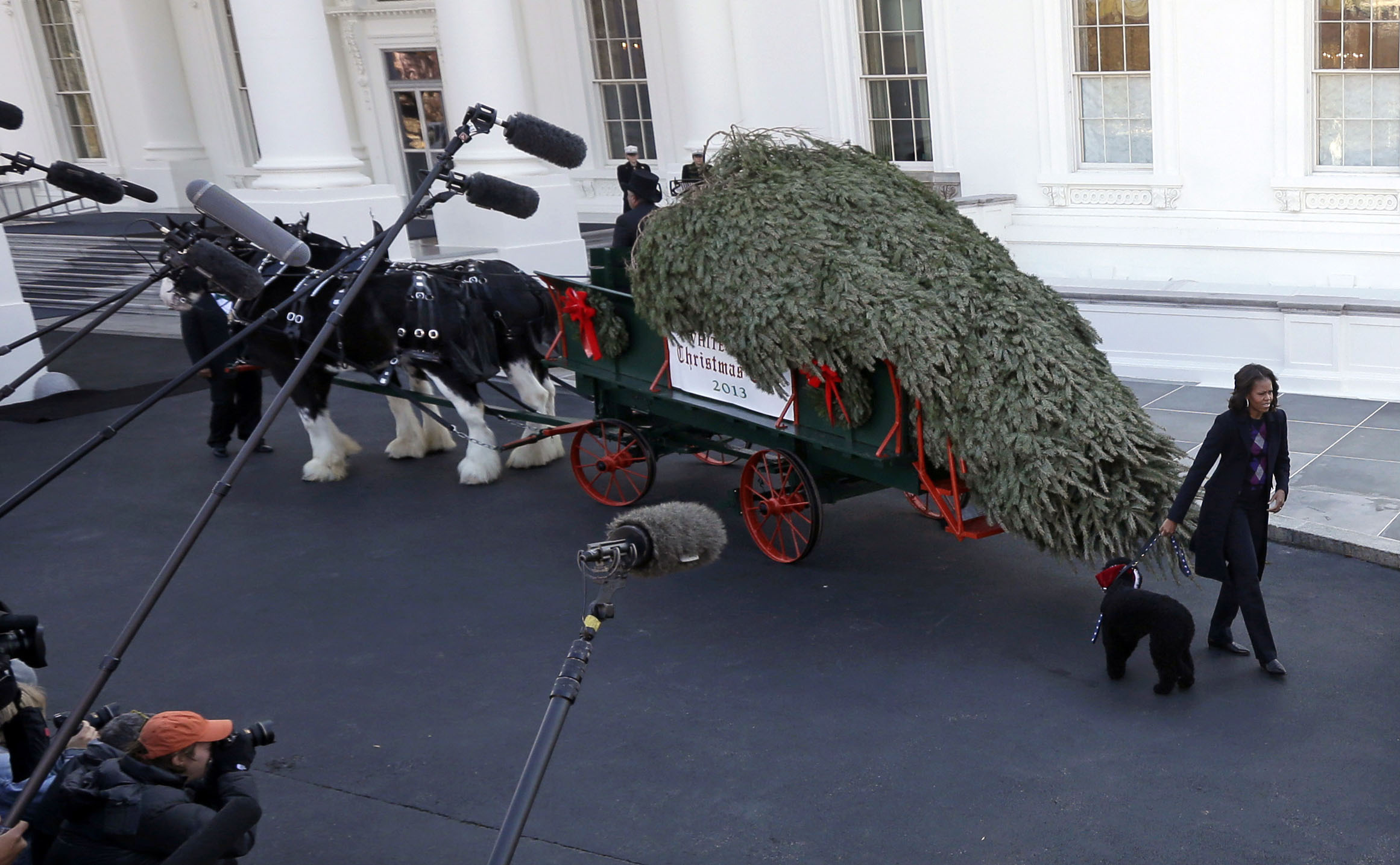First lady welcomes White House Christmas tree