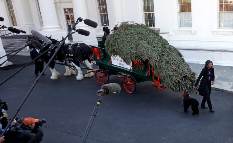 First lady welcomes White House Christmas tree