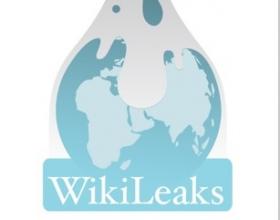 The Strange Career of WikiLeaks