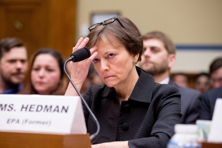 Former State EPA administrator Susan Hedman appears to testify before the House Oversight and Government Reform Committee on March 15. (AP Photo/Andrew Harnik)