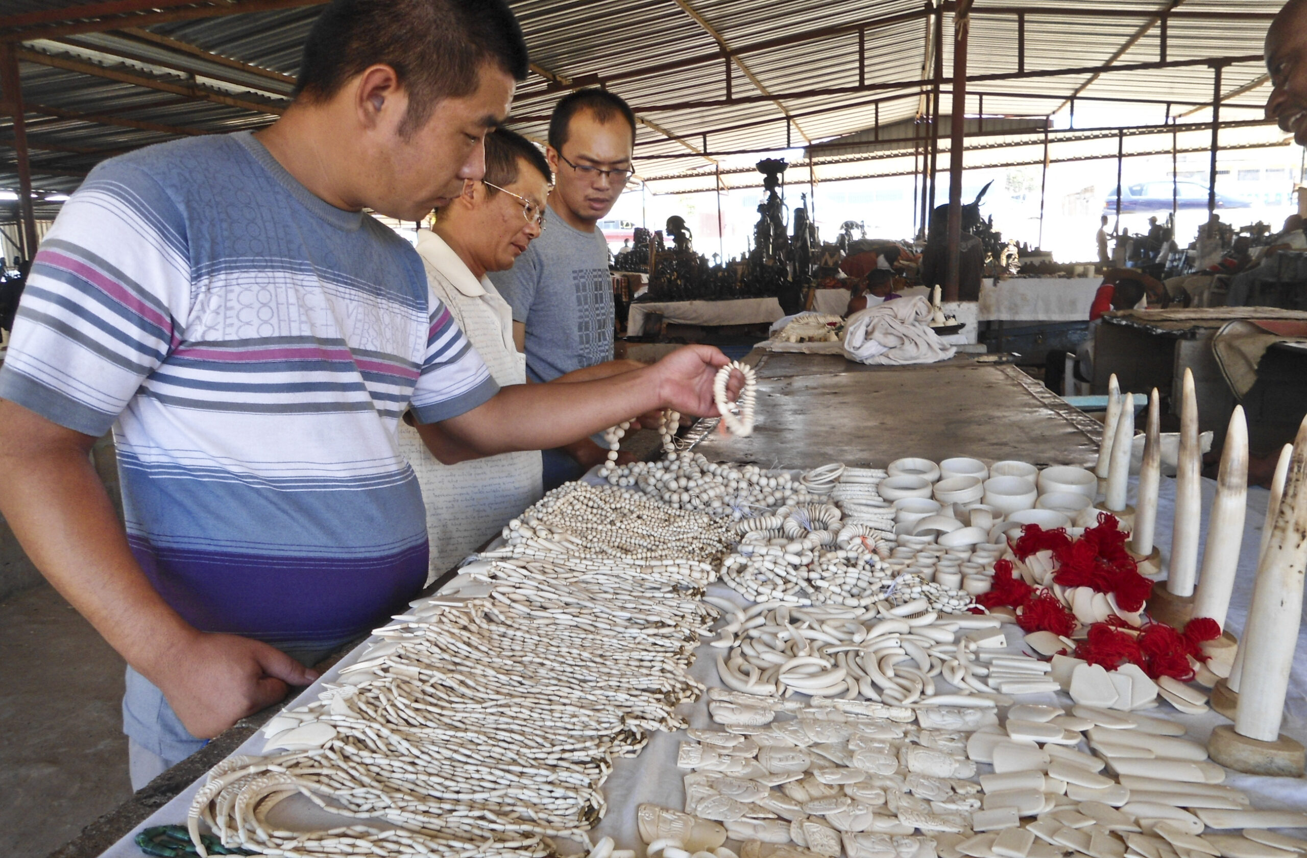 Ivory for sale in Angola; big tuskers die in Kenya