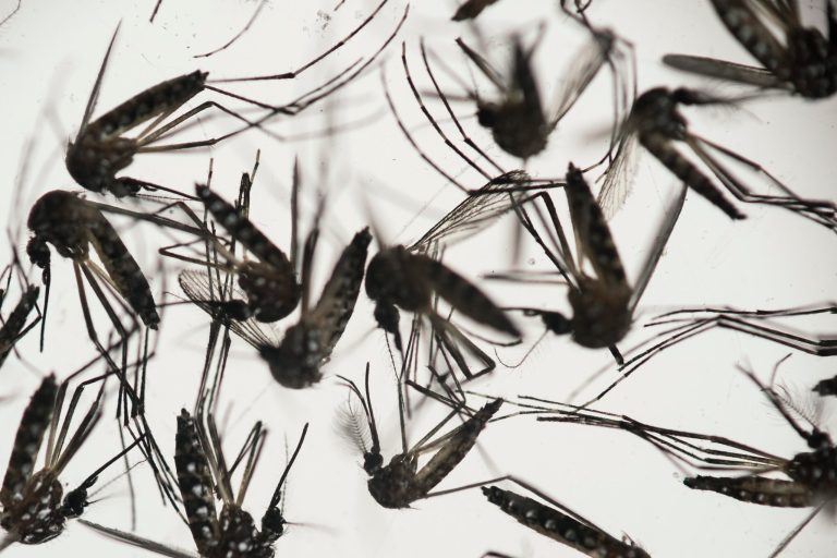 Health officials said they are exploring how a Utah resident, a close family contact, got the virus. (AP Photo/Felipe Dana, File)