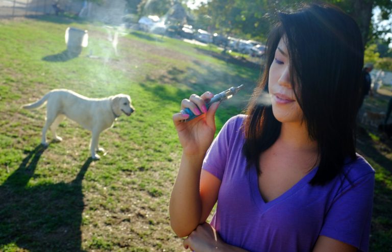 Smoking is banned in national and state parks, andÂ last month the National Park Service took the step of banning electronic cigarettes in national parks as well.Â (AP Photo/Richard Vogel)