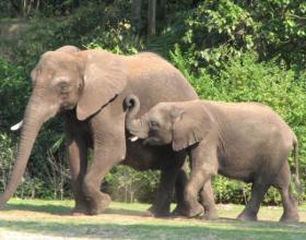 Midterm Report: Job Approval vs. the Unemployment Rate