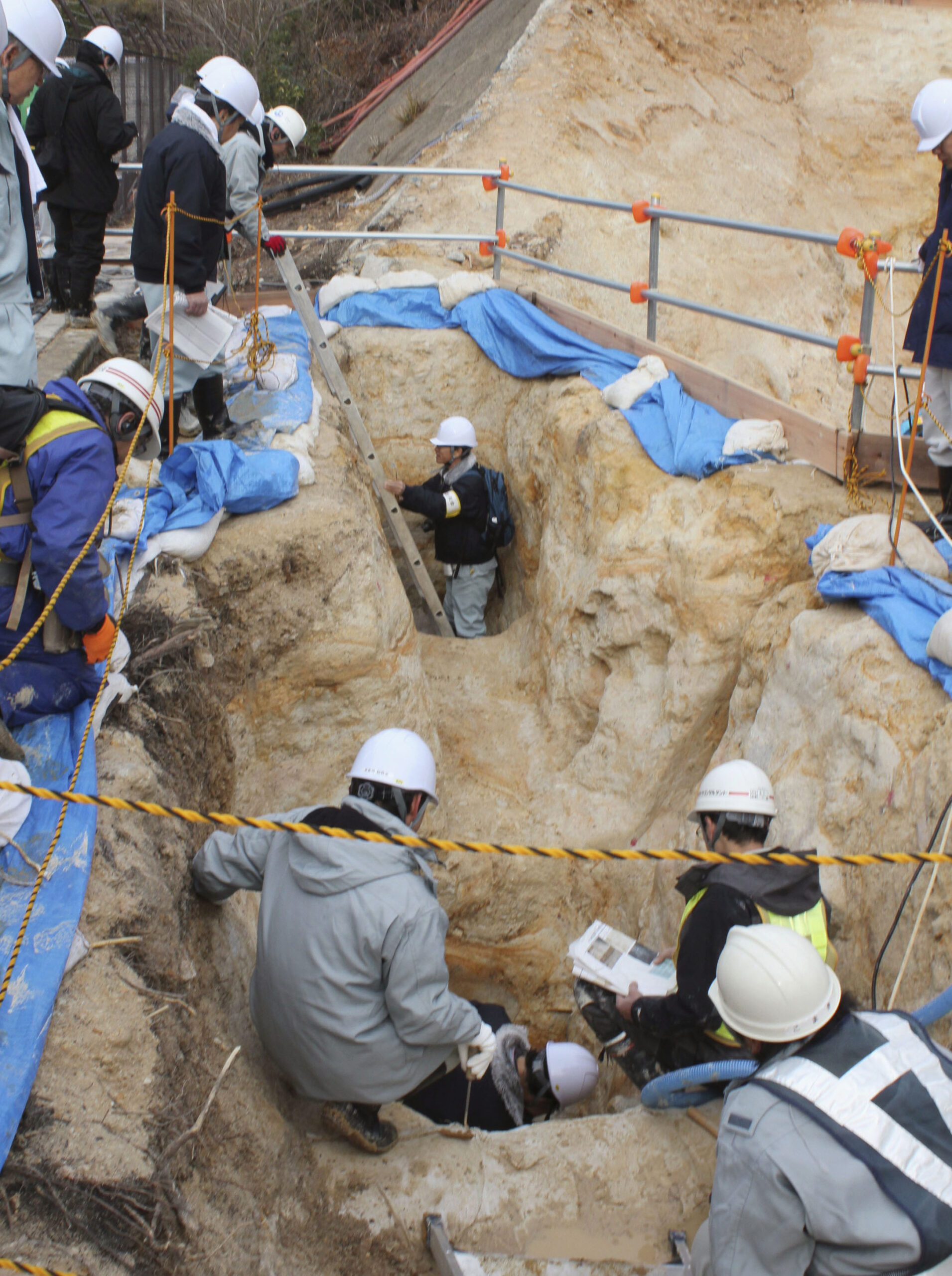 Panel: Fault under Japan nuke plant may be active