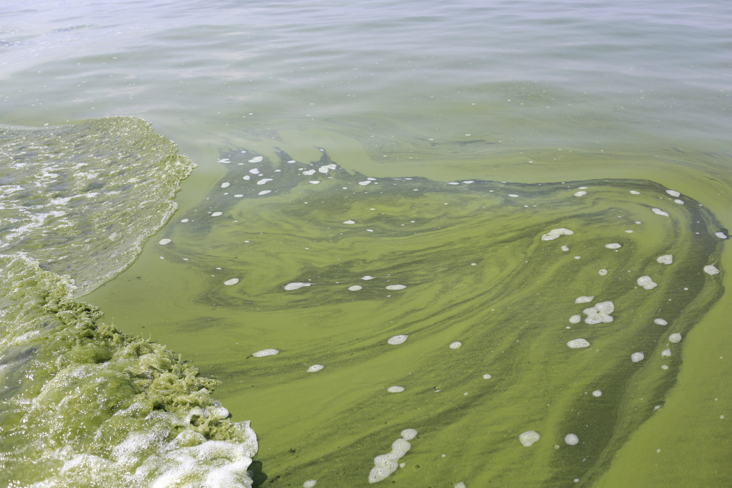Farms are focus of studies on drinking water toxin