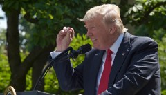 Trump’s three favorite words before taking action: ‘You’ll find out’