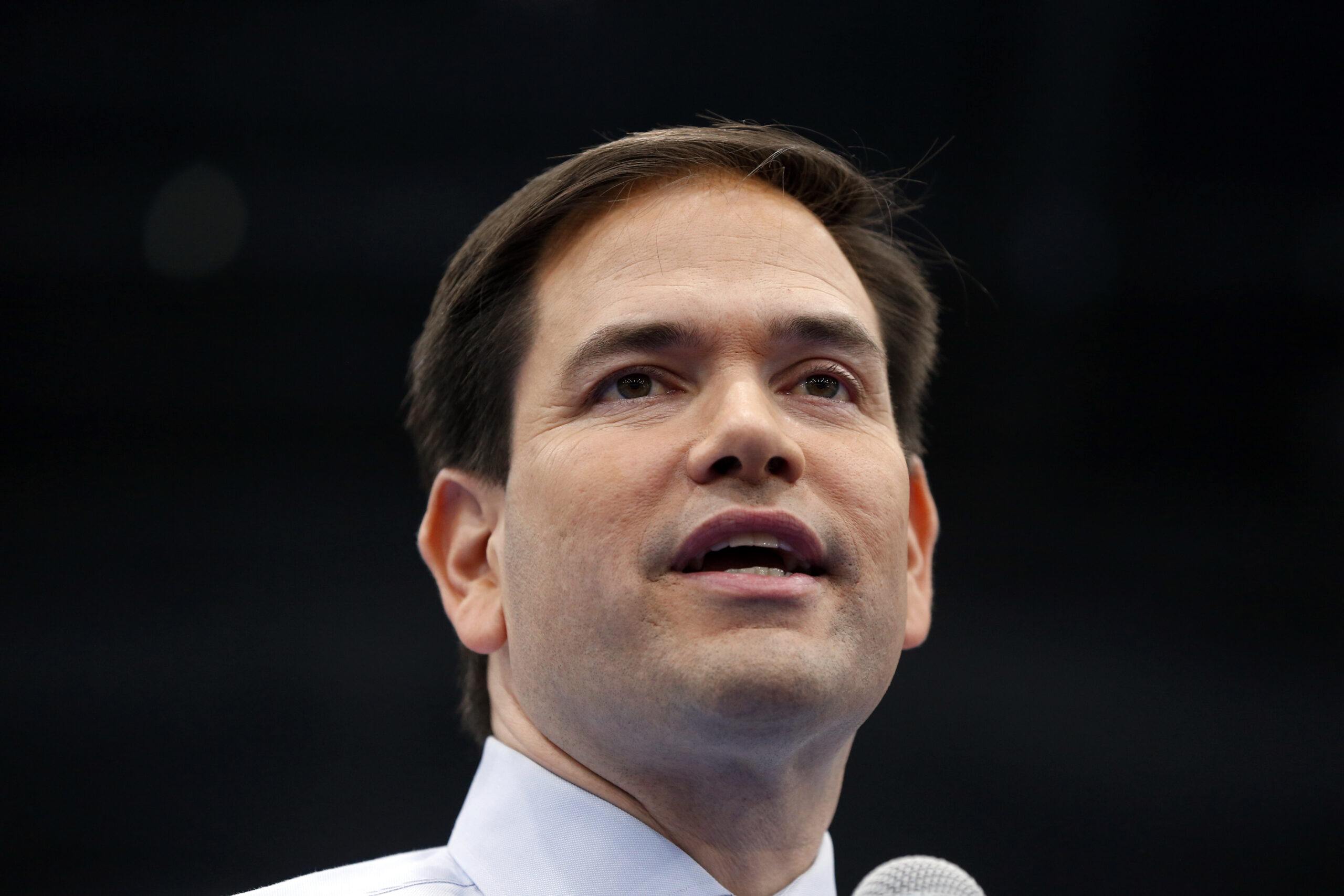 Rubio would lead pack in obscure Senate field