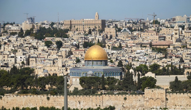 Rep. Scott Tipton, R-Colo., and Rep. David McKinley, R-W.Va., on Thursday were stopped by police after the Waqf, the Jordanian organization that governs the Temple Mount, had brought to their attention that the congressmen took a branch from an olive tree. (AP Photo/Mahmoud Illean)