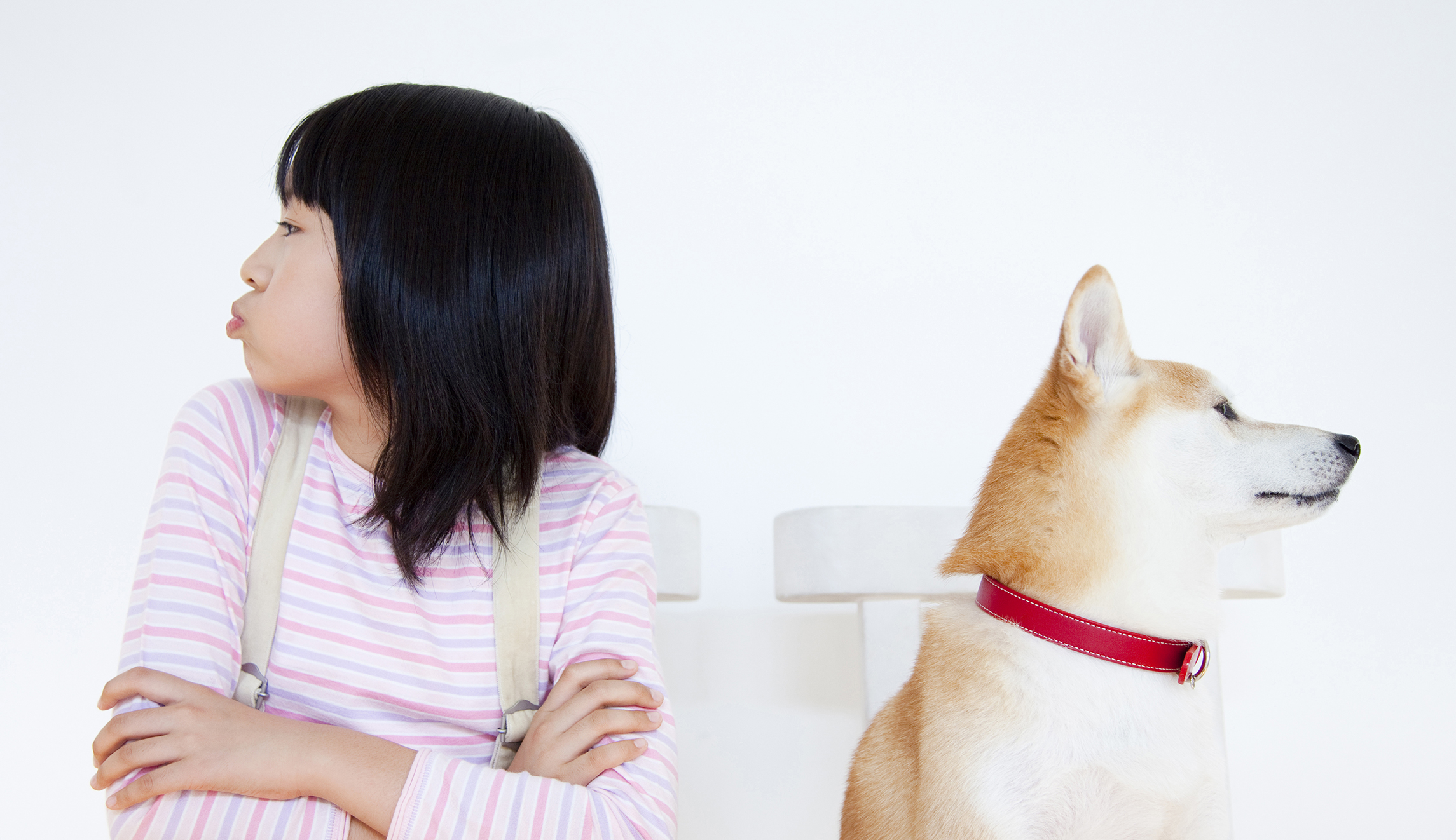The tax code favors having children over dogs for a reason