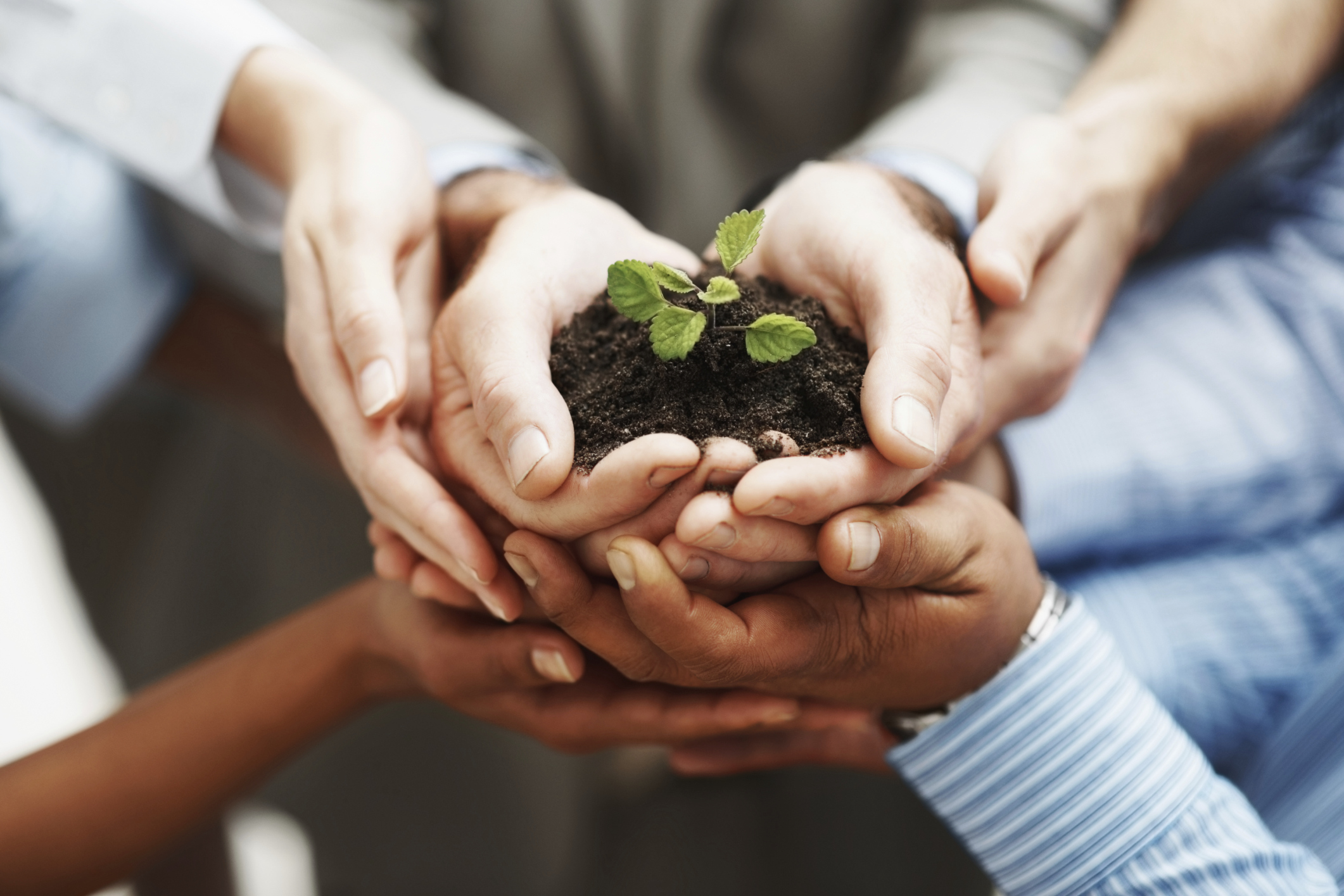 Prince George’s County pushes for tax breaks to lure green businesses