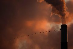 Americans can’t afford a carbon tax