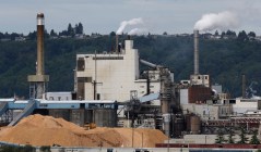 There is no conservative momentum for a carbon tax
