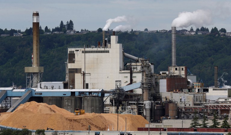 Businesses and economists contend a carbon tax is the simplest and most efficient way to address greenhouse gas emissions by applying a per-ton fee for large emitters like power plants and refineries.