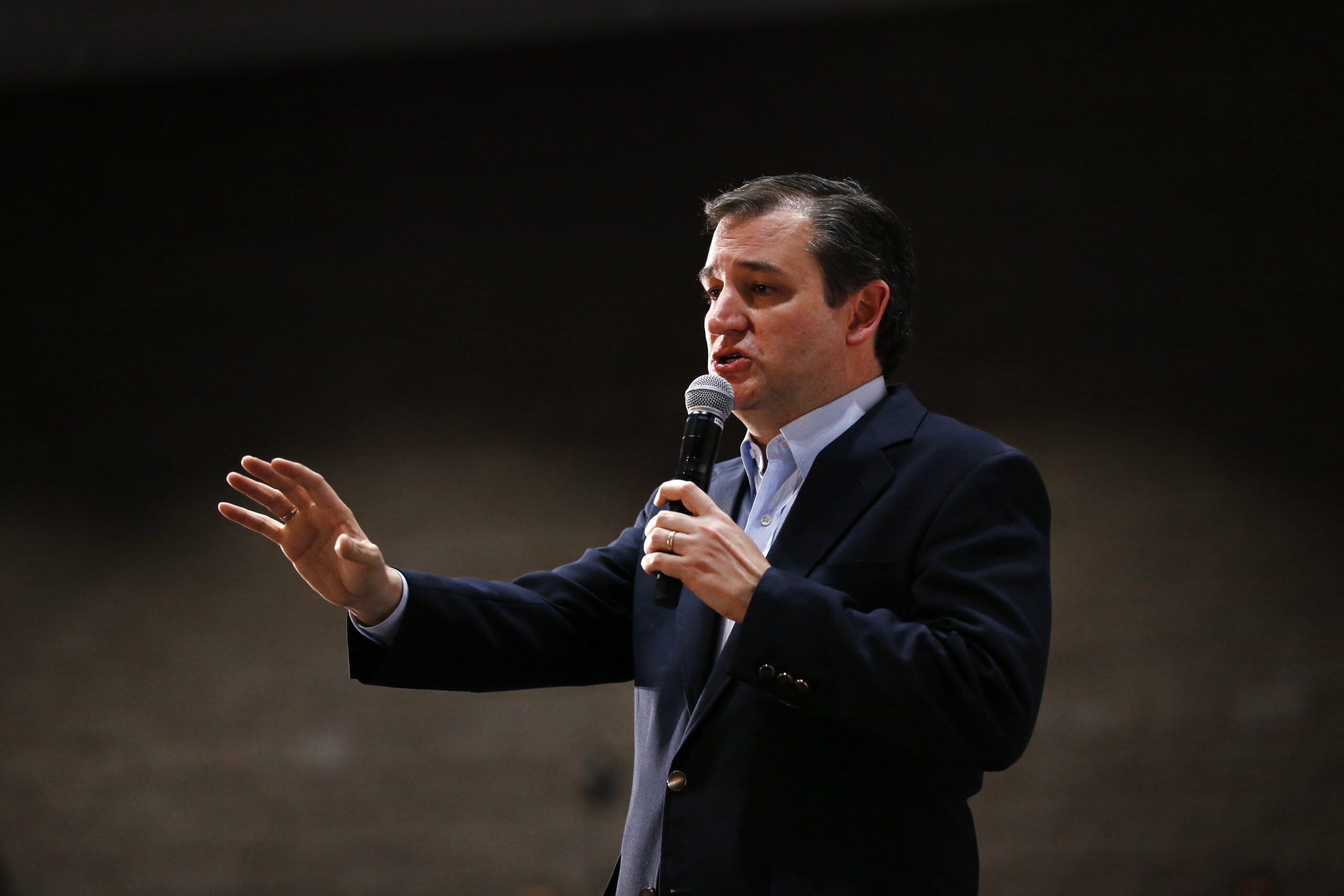 Air Force rejects Cruz plan to ‘carpet bomb’ Islamic State