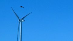 New Jersey officials break ground on multimillion dollar wind port