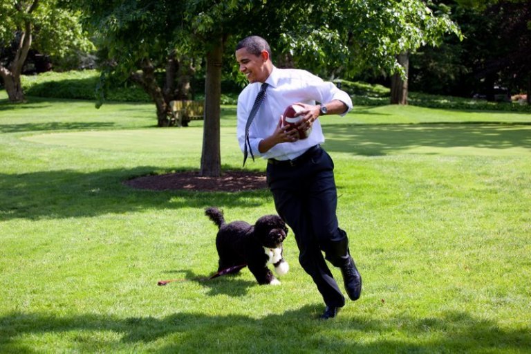 First Dog Bo tries to keep President Obama's rushing yards low on the South Lawn in 2009. (White House photo by Pete Souza.) 