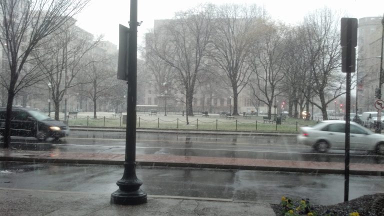 Snow falls in D.C.'s McPherson Square Wednesday morning. (Photo: Naomi Jagoda/Washington Examiner)