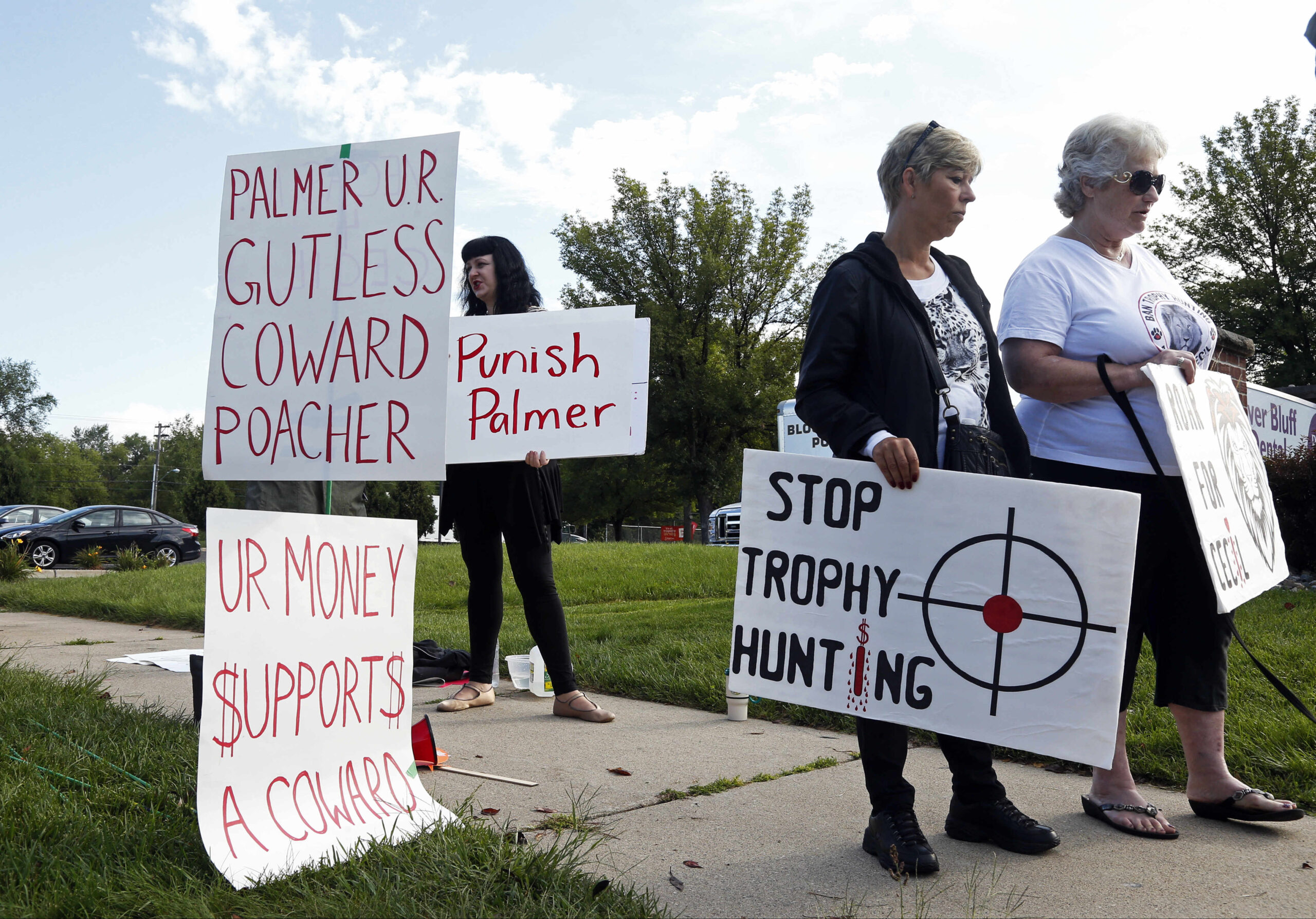 Humane Society: Obama has effectively ended ‘canned’ African lion hunts, Americans kill 90%