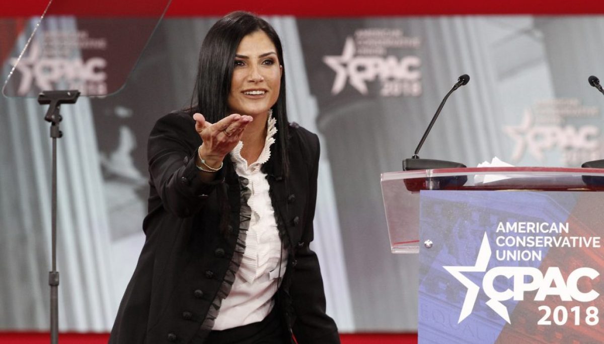 Dana Loesch has 'a lot of questions' about Alex Pretti shooting