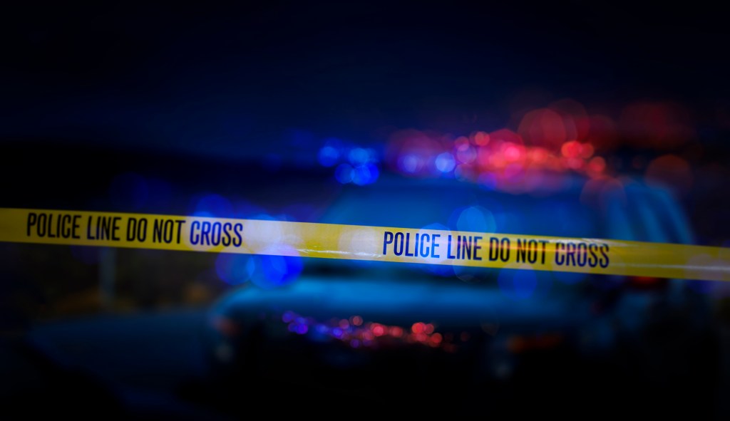 Twin brothers arrested in investigation into explosive-making plot