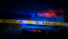 Twin brothers arrested in investigation into explosive-making plot