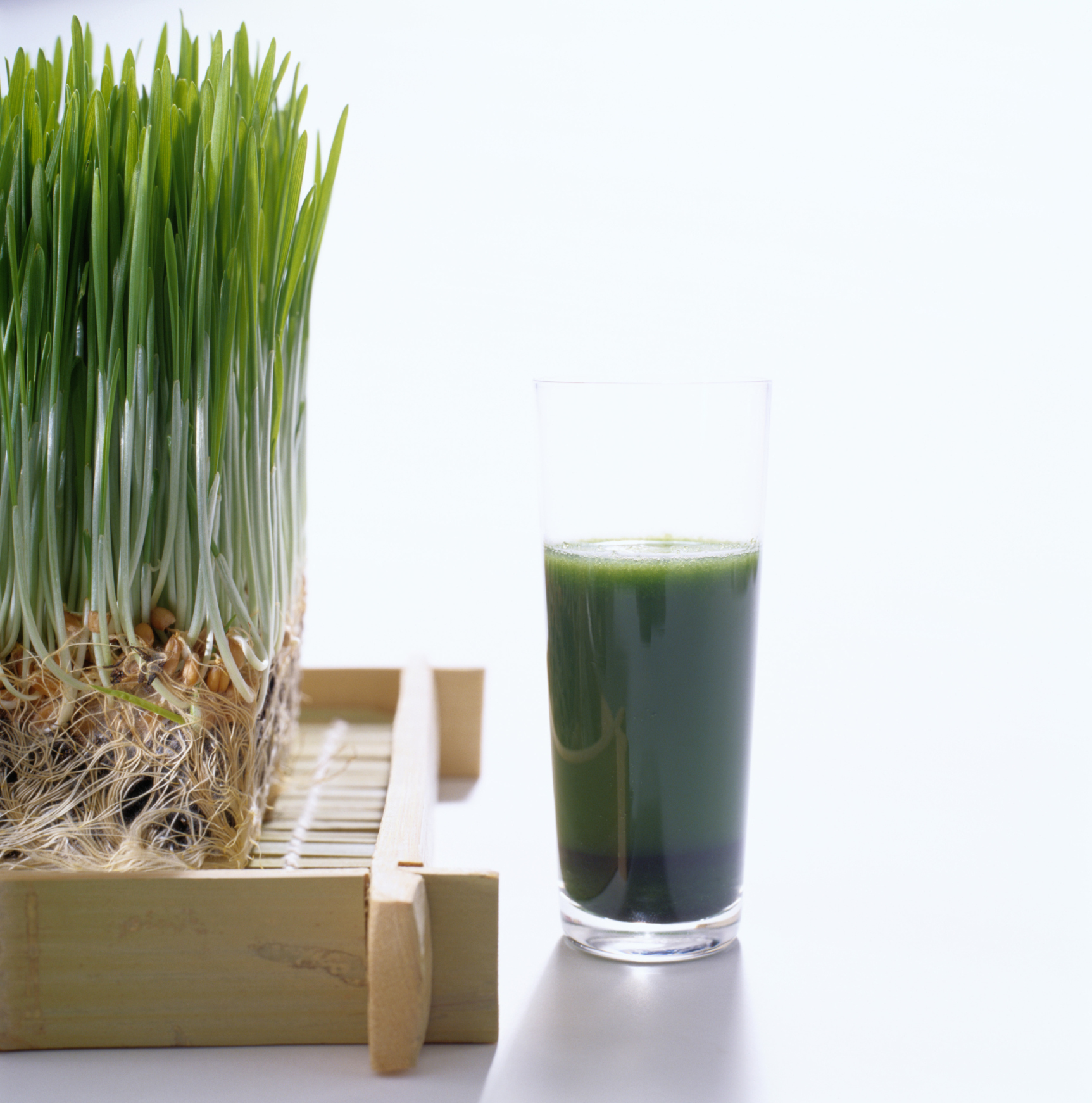 Meghan Cox Gurdon: Fat, bored and nearly dead? Juicing could be the thing for you