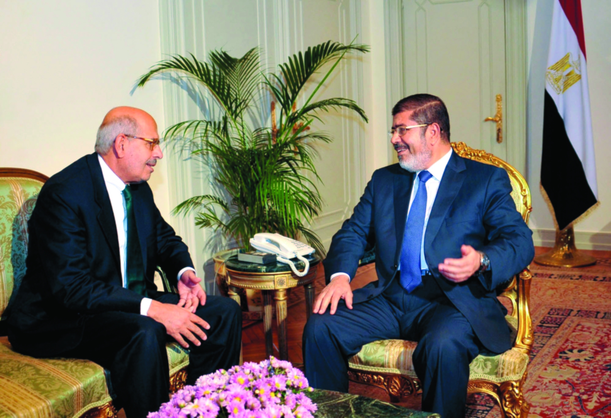 Egypt opposition leader calls for election boycott