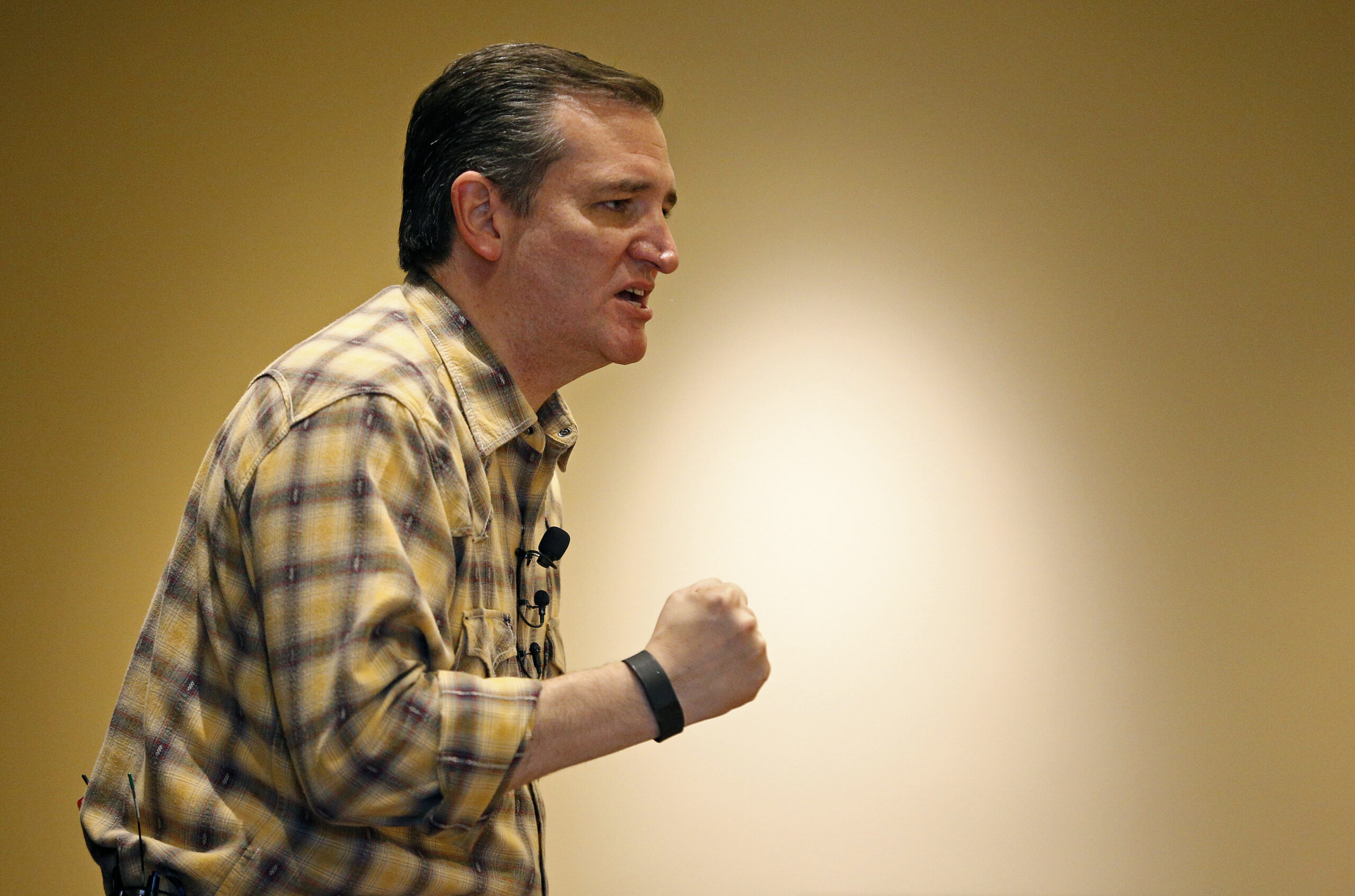 Cruz contradicts campaign chair on immigration position