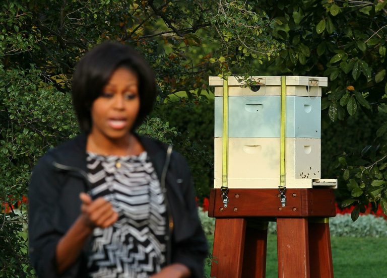 Easter Egg Roll will buzz with bee talk